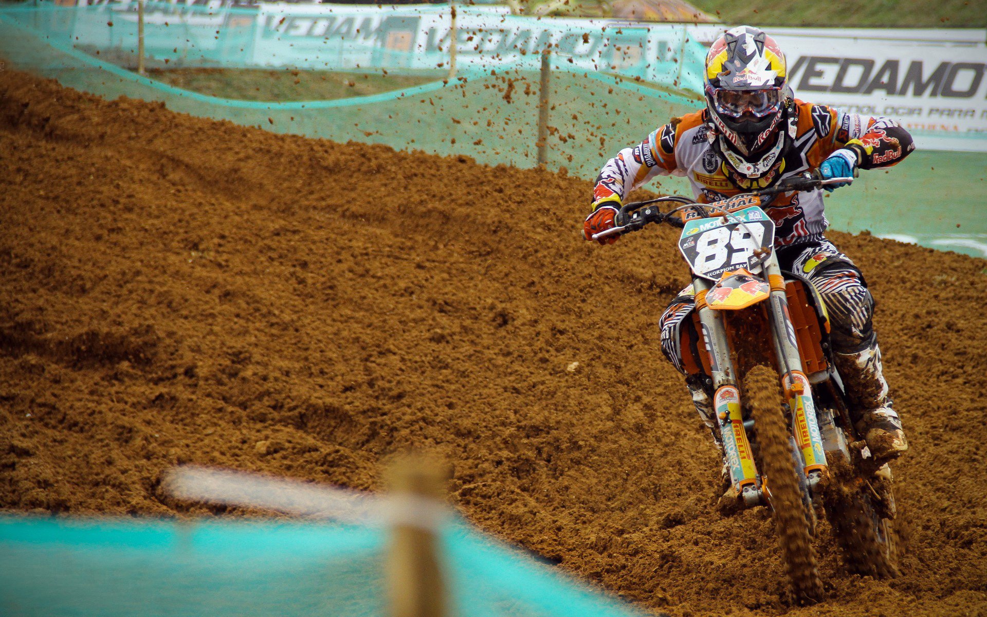 公牛核心阵容逐渐稳定，公牛队伍