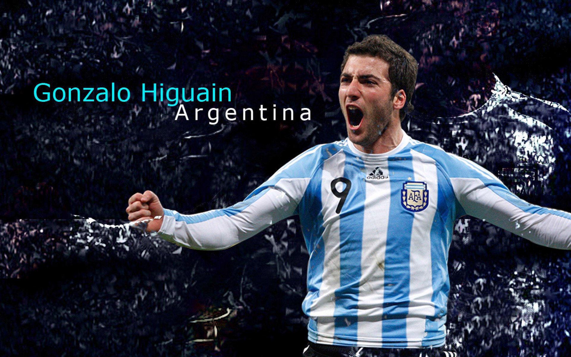 关键技术数据解析选手表现,关键技术分析怎么写